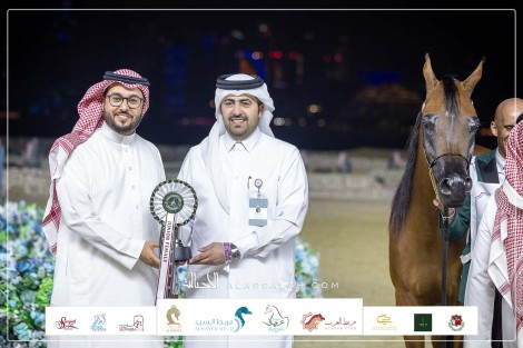 نتائج الفئات التأهيلية (الأشواط) لبطولة العالم الدوحة 2023 للخيل العربية الأصيلة