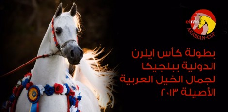 نتائج بطولة كأس ايلرن الدولية ببلجيكا لجمال الخيل العربية الأصيلة ٢٠١٣