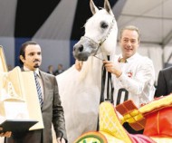 “الخالدية” تفوز بذهب ألمانيا في الجمال