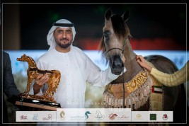 النتائج النهائية بالصور لبطولة الفجيرة الدولية للخيل العربي 2023