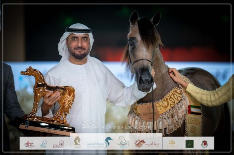 النتائج النهائية بالصور لبطولة الفجيرة الدولية للخيل العربي 2023