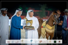 الأريام حربة تتوج بذهبية المهرات عمر سنة في بطولة الفجيرة الدولية للخيل العربية 2023