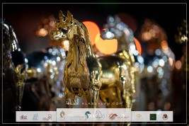 نقلة نوعية في تنظيم بطولة الفجيرة الدولية للخيل العربية 2023