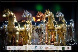 صور مقتطفة من اليوم الختامي لبطولة الفجيرة الدولية 2023 للخيل العربية