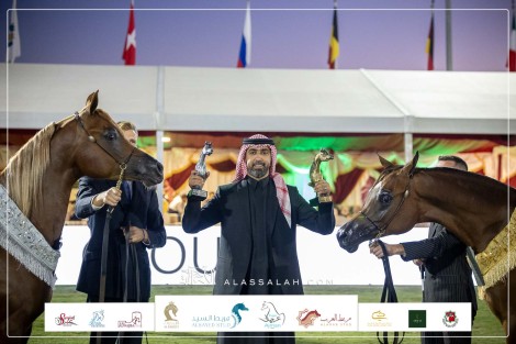 صور مقتطفة من اليوم الختامي لبطولة مركز الملك عبدالعزيز للخيل العربية الأصيلة
