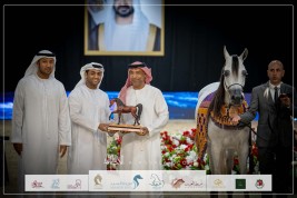 البراقة الخامسة تمنح مربط عجمان برونزية الأفراس في بطولة العرب لمربي الخيل 2023