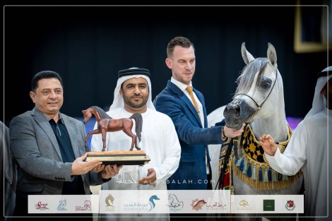 النتائج النهائية بالصور لبطولة الإمارات لمربي الخيول العربية الأصيلة 2023