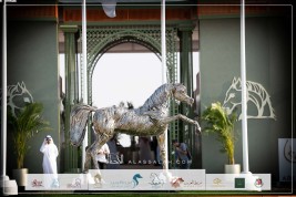 صور مقتطفة من اليوم الأول لبطولة عجمان 2024 للخيل العربية الأصيلة