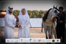 فضية وبرونزية لاسطبلات الأريام في بطولة عجمان للخيل العربية الأصيلة 2024