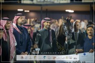 اكواتور يتوج بذهبية الفحول في بطولة مهرجان الأمير سلطان بن عبدالعزيز العالمي للجواد العربي 2024
