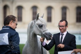 صور متفرقة من اليوم الأول لبطولة شانتلي لجمال الخيل العربية الأصيلة ٢٠١٣