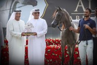 نتائج اليوم الأول لبطولة الشراع الدولية 2024 للخيل العربية